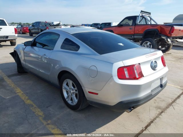 Photo 2 VIN: 1ZVBP8AM5C5251301 - FORD MUSTANG 