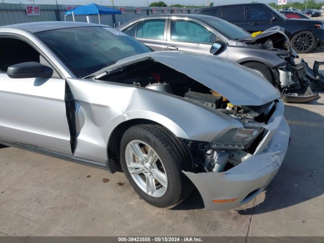 Photo 5 VIN: 1ZVBP8AM5C5251301 - FORD MUSTANG 