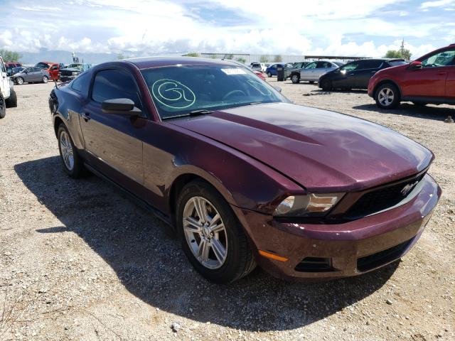 Photo 0 VIN: 1ZVBP8AM5C5268115 - FORD MUSTANG 