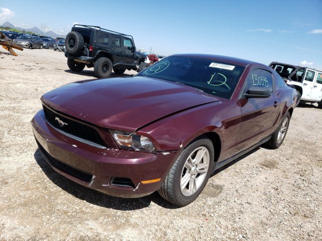 Photo 1 VIN: 1ZVBP8AM5C5268115 - FORD MUSTANG 