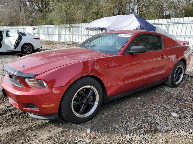 Photo 0 VIN: 1ZVBP8AM5C5273976 - FORD MUSTANG 