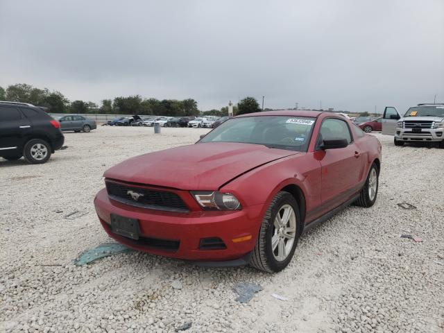 Photo 1 VIN: 1ZVBP8AM5C5281740 - FORD MUSTANG 