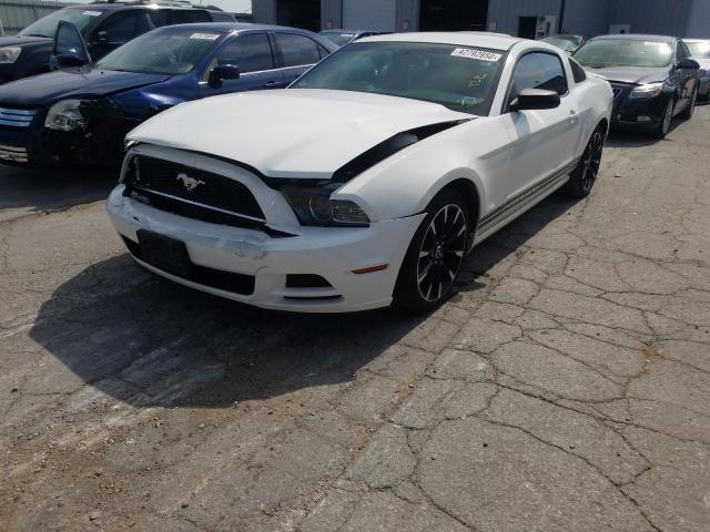 Photo 1 VIN: 1ZVBP8AM5D5216307 - FORD MUSTANG 