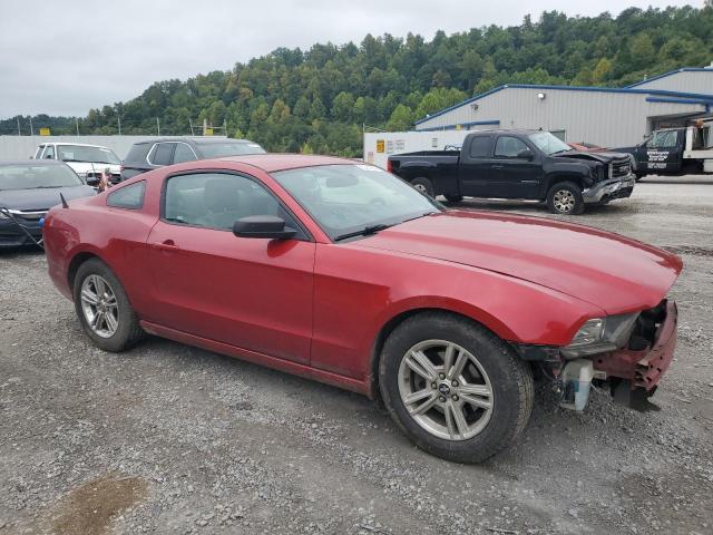 Photo 3 VIN: 1ZVBP8AM5D5225847 - FORD MUSTANG 