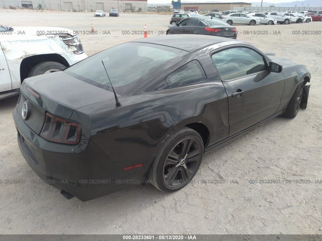 Photo 3 VIN: 1ZVBP8AM5D5233527 - FORD MUSTANG 