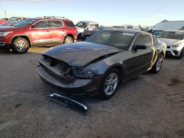 Photo 1 VIN: 1ZVBP8AM5D5241787 - FORD MUSTANG 