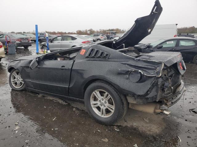 Photo 1 VIN: 1ZVBP8AM5D5261098 - FORD MUSTANG 