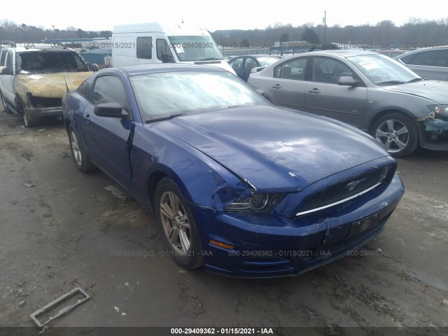 Photo 5 VIN: 1ZVBP8AM5D5261912 - FORD MUSTANG 