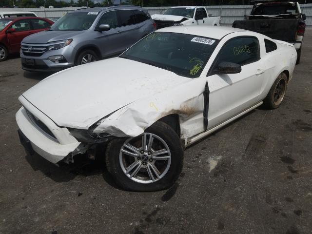 Photo 1 VIN: 1ZVBP8AM5D5265636 - FORD MUSTANG 