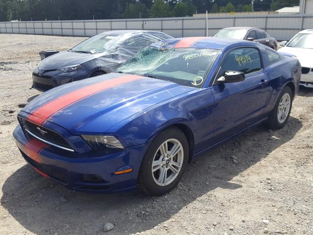 Photo 1 VIN: 1ZVBP8AM5D5268455 - FORD MUSTANG 