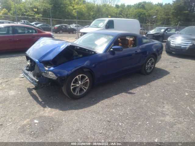 Photo 1 VIN: 1ZVBP8AM5D5268598 - FORD MUSTANG 