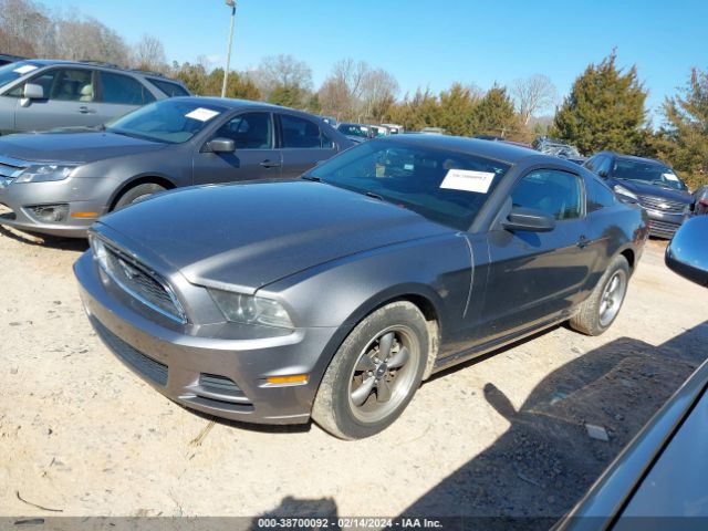 Photo 1 VIN: 1ZVBP8AM5D5273445 - FORD MUSTANG 