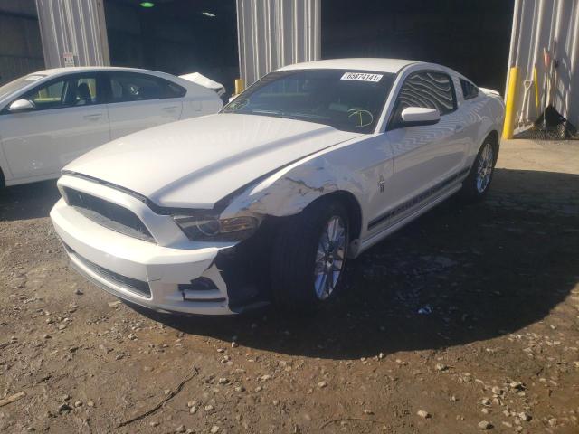 Photo 1 VIN: 1ZVBP8AM5D5273705 - FORD MUSTANG 