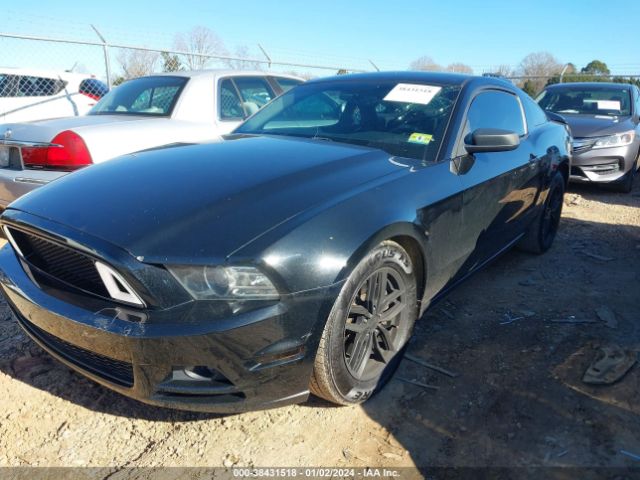 Photo 1 VIN: 1ZVBP8AM5E5207138 - FORD MUSTANG 