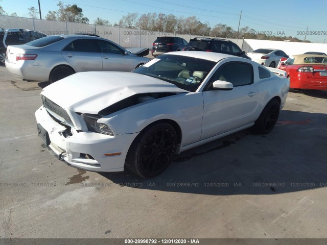 Photo 1 VIN: 1ZVBP8AM5E5217832 - FORD MUSTANG 