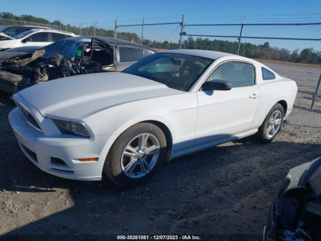 Photo 1 VIN: 1ZVBP8AM5E5218608 - FORD MUSTANG 