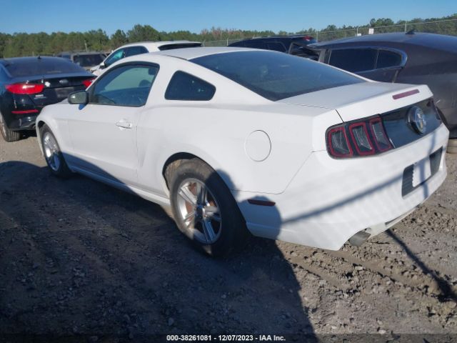 Photo 2 VIN: 1ZVBP8AM5E5218608 - FORD MUSTANG 