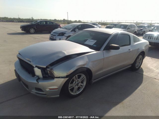 Photo 1 VIN: 1ZVBP8AM5E5226417 - FORD MUSTANG 