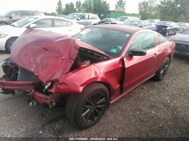 Photo 1 VIN: 1ZVBP8AM5E5237014 - FORD MUSTANG 