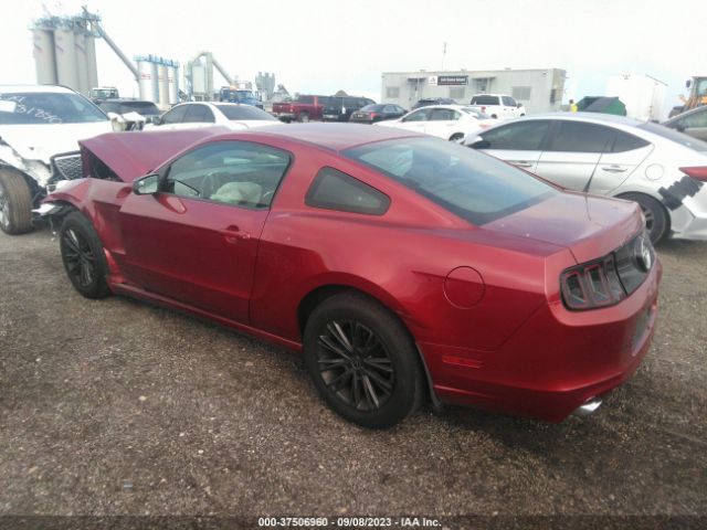 Photo 2 VIN: 1ZVBP8AM5E5237014 - FORD MUSTANG 