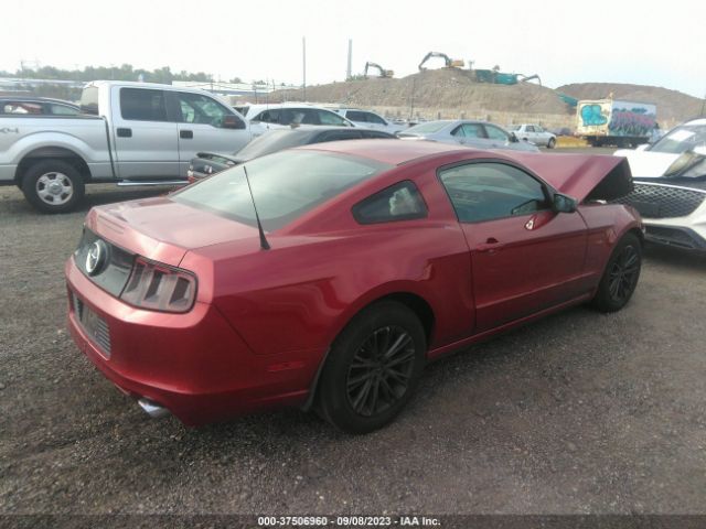 Photo 3 VIN: 1ZVBP8AM5E5237014 - FORD MUSTANG 