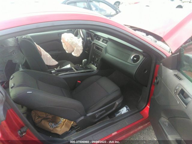 Photo 4 VIN: 1ZVBP8AM5E5237014 - FORD MUSTANG 