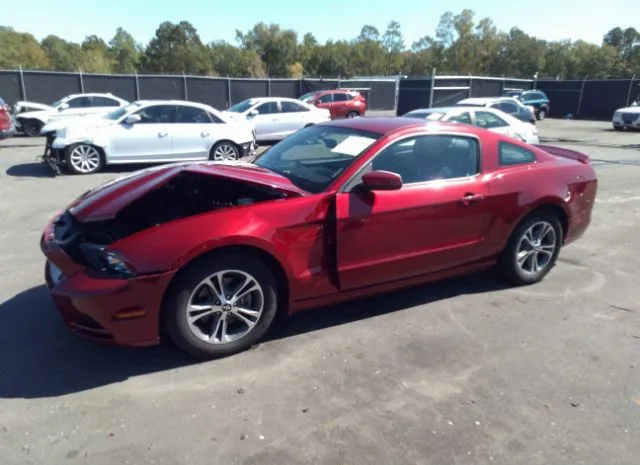 Photo 1 VIN: 1ZVBP8AM5E5241676 - FORD MUSTANG 