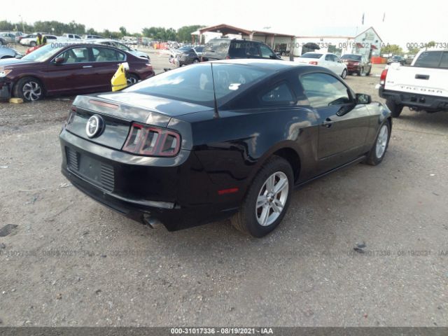 Photo 3 VIN: 1ZVBP8AM5E5251284 - FORD MUSTANG 