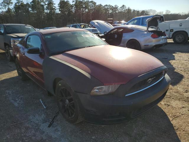 Photo 3 VIN: 1ZVBP8AM5E5263211 - FORD MUSTANG 