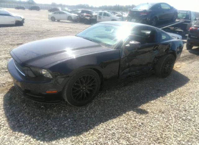 Photo 1 VIN: 1ZVBP8AM5E5266433 - FORD MUSTANG 