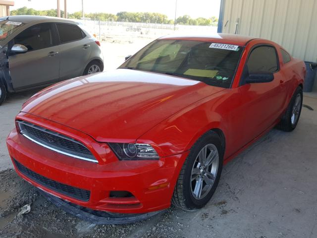 Photo 1 VIN: 1ZVBP8AM5E5275228 - FORD MUSTANG 