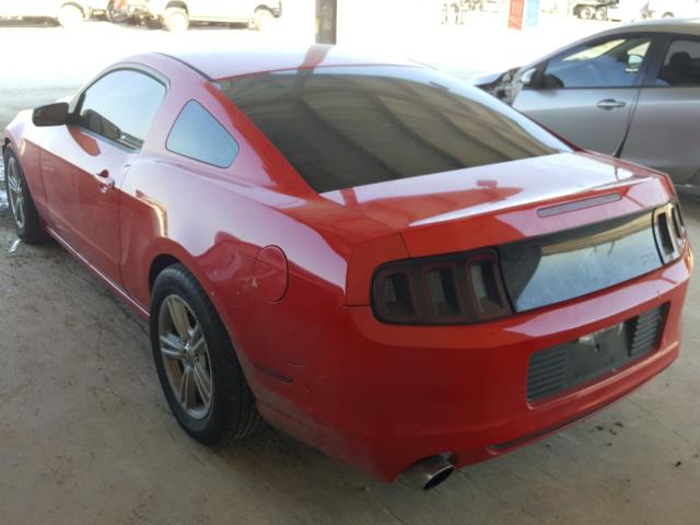 Photo 2 VIN: 1ZVBP8AM5E5275228 - FORD MUSTANG 