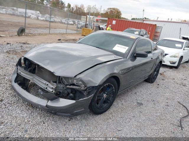 Photo 1 VIN: 1ZVBP8AM5E5298153 - FORD MUSTANG 