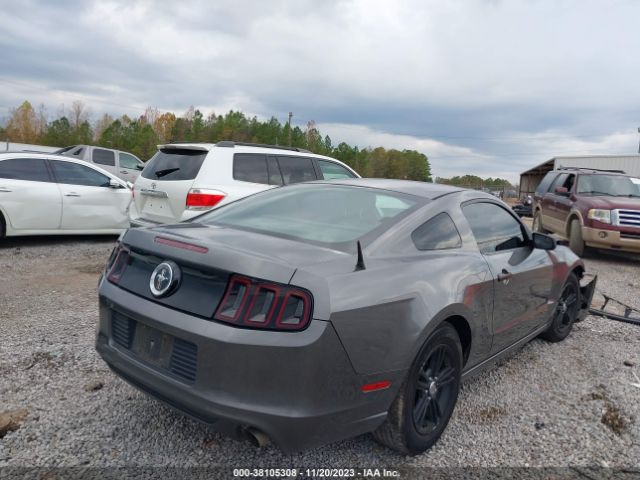 Photo 3 VIN: 1ZVBP8AM5E5298153 - FORD MUSTANG 