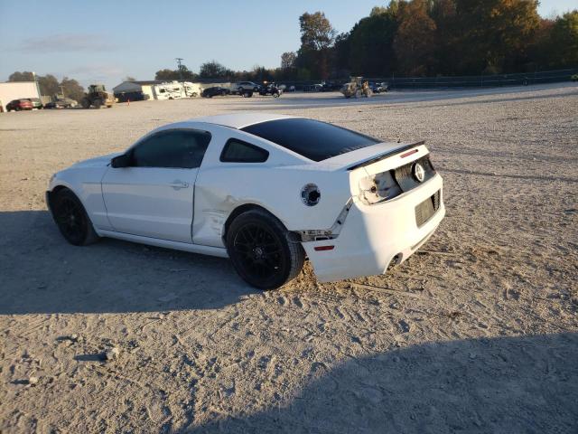 Photo 1 VIN: 1ZVBP8AM5E5303822 - FORD MUSTANG 