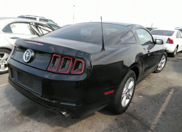 Photo 3 VIN: 1ZVBP8AM5E5306462 - FORD MUSTANG 