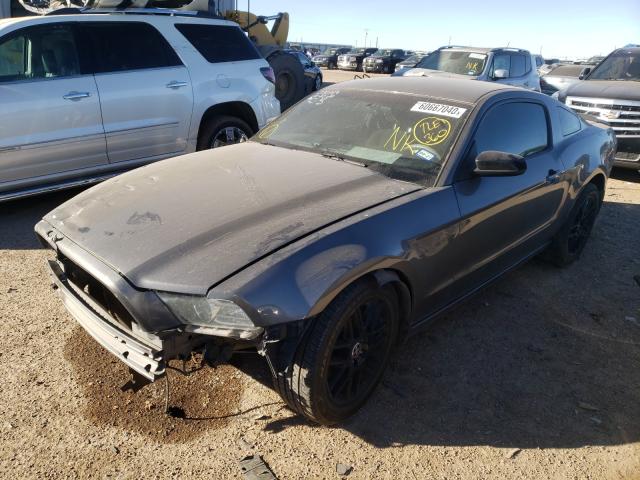 Photo 1 VIN: 1ZVBP8AM5E5309524 - FORD MUSTANG 