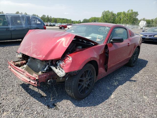 Photo 1 VIN: 1ZVBP8AM5E5313153 - FORD MUSTANG 