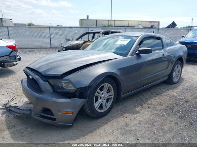 Photo 1 VIN: 1ZVBP8AM5E5331037 - FORD MUSTANG 