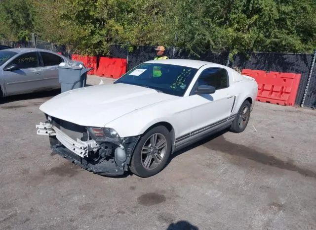 Photo 1 VIN: 1ZVBP8AM6B5102149 - FORD MUSTANG 