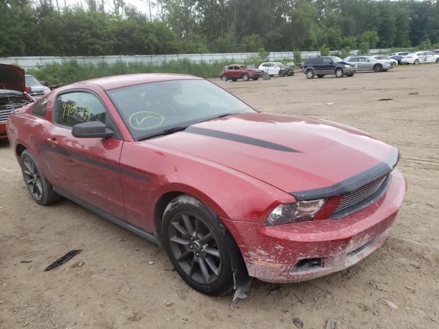 Photo 0 VIN: 1ZVBP8AM6B5151562 - FORD MUSTANG 