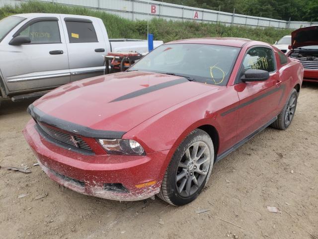 Photo 1 VIN: 1ZVBP8AM6B5151562 - FORD MUSTANG 