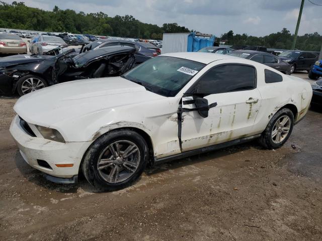 Photo 0 VIN: 1ZVBP8AM6B5158317 - FORD MUSTANG 