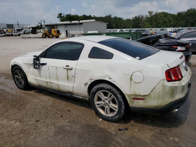 Photo 1 VIN: 1ZVBP8AM6B5158317 - FORD MUSTANG 