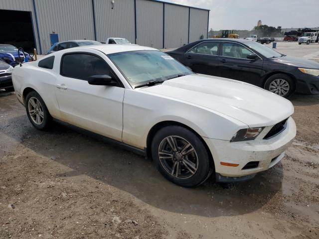 Photo 3 VIN: 1ZVBP8AM6B5158317 - FORD MUSTANG 