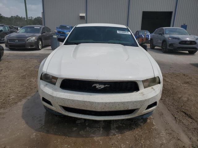 Photo 4 VIN: 1ZVBP8AM6B5158317 - FORD MUSTANG 