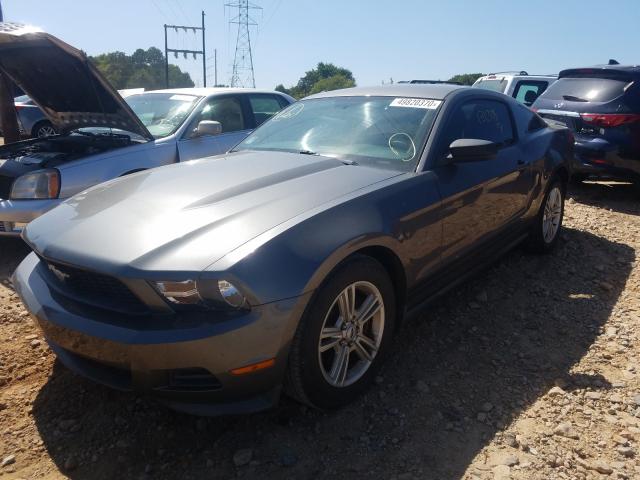 Photo 1 VIN: 1ZVBP8AM6B5162156 - FORD MUSTANG 