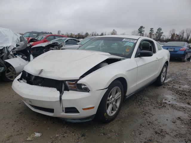 Photo 1 VIN: 1ZVBP8AM6B5162853 - FORD MUSTANG 