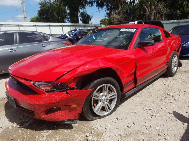 Photo 1 VIN: 1ZVBP8AM6B5168653 - FORD MUSTANG 