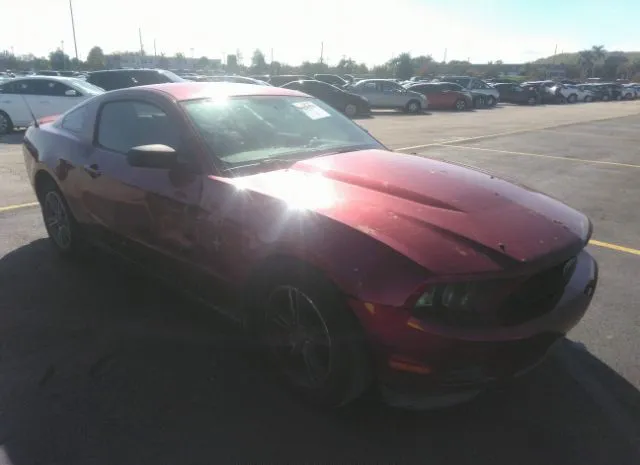 Photo 0 VIN: 1ZVBP8AM6C5205556 - FORD MUSTANG 